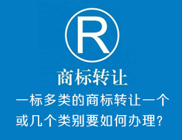 一标多类的商标转让一个或几个类别要如何办理？
