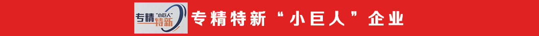 专精特新小巨人企业分割线.jpg