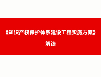 《知识产权保护体系建设工程实施方案》解读